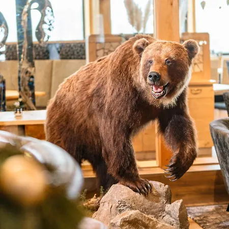 Aparthotel Appartement&suiten Glöcknerin