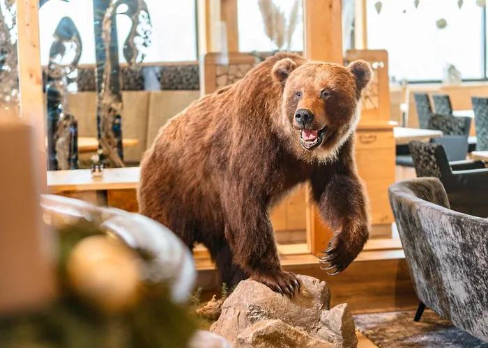 Aparthotel Appartement&suiten Glöcknerin